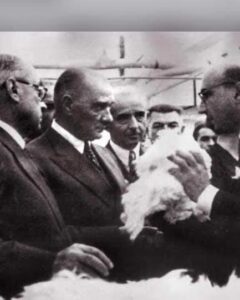 Cahilin dindarından da hayır gelmez…