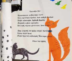 Sen ciğercinin kedisi, ben sokak kedisi