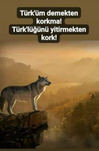 Türk’üm diyorsan…