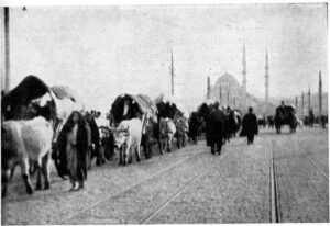İRTİCACI HAİNLERİN ”BALKAN TÜRKÜ” DÜŞMANLIĞI