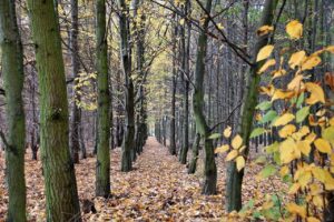 12 ay boyunca turizm…