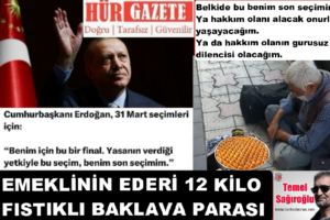 EMEKLİNİN EDERİ 12 KİLO FISTIKLI BAKLAVA PARASI