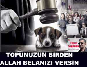 TOPUNUZUN BİRDEN ALLAH BELANIZI VERSİN