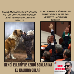KENDİ ELLERİYLE KENDİ SONLARINA EL KALDIRIYORLAR