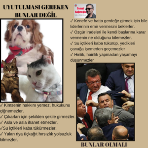 UYUTULMASI GEREKEN BUNLAR DEĞİL