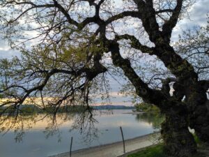 Ege’de huzur arayanlar…