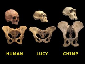 Yapay Zeka’nın Lucy’si