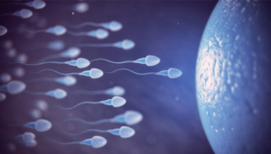 Kanser oluşumunu tetikleyen gen mutasyonuna sahip sperm donörü yaklaşık 200 çocuğun babası oldu