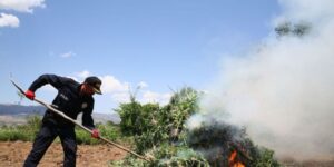ANADOLU’DA KİRLİ HATLAR