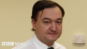 Magnitsky Yasası