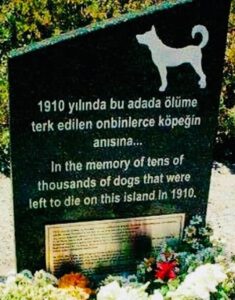 80.000 KÖPEĞİN KATLİAMI ANISINA HAYIRSIZADA’YA DİKİLEN ANIT