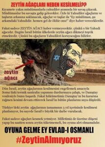 Zeytin ağaçlarını neden kesmeli